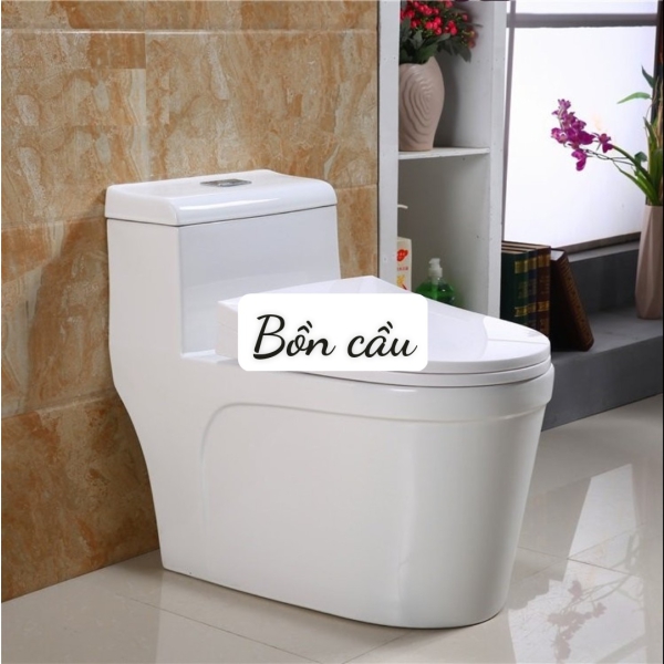 Bồn cầu - 01